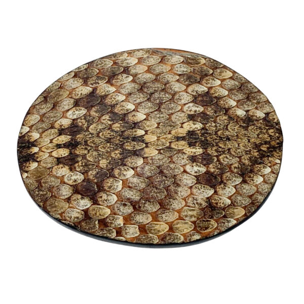 Leather Snakeskin Buckle