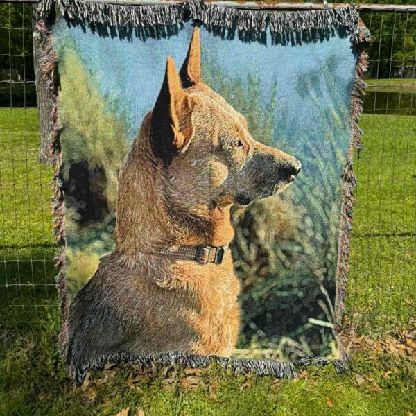 Tapestry Blanket 1